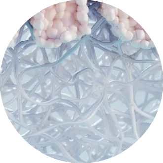 Nachlassende Unterstützung des Weichteilgewebes